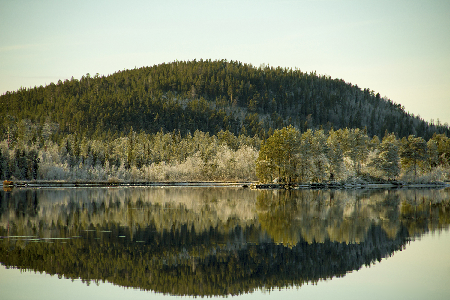 _MG_7327